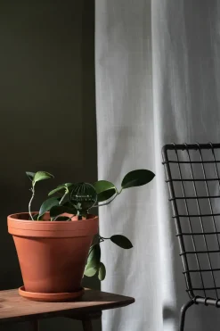 Muurla self-watering 15 cm, Green Outlet