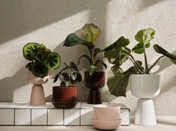 Iittala Nappula flower pot h32 cm Ø19 cm, White Discount