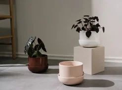 Iittala Nappula flower pot with saucer Ø17 cm h13 cm, Beige