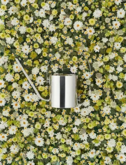Stelton Original watering can 1.7 l, stainless steel Silver-coloured Discount