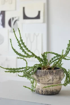 Mette Ditmer Raw flowerpot Ø17 cm, Off-white Grey Online