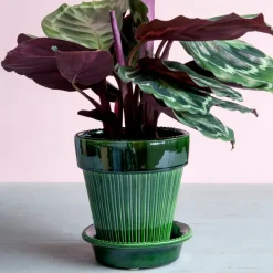 Bergs Potter Simona flower pot glazed Ø16 cm, Green Hot
