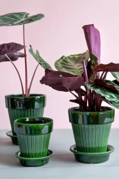 Bergs Potter Simona flower pot glazed Ø12 cm, Green New