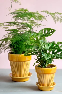 Bergs Potter Simona flower pot glazed Ø12 cm, Yellow Online