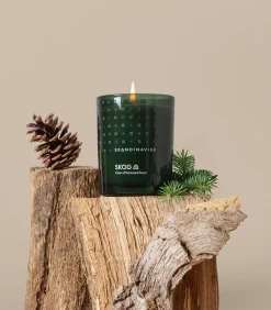 Skandinavisk Skog scented candle with lid, 200 g Green