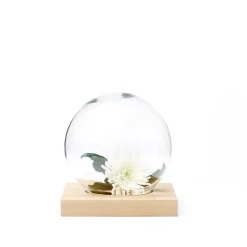 A2 Space decoration, White oiled oak, glass Beige Best