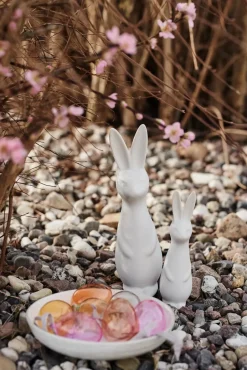 DBKD Swedish rabbit small, White Sale