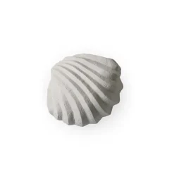 Cooee Design The Clam Shell sculpture 13 cm, Limestone Beige Discount