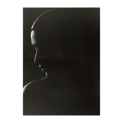 Paper Collective The Silhouette poster, 50x70 cm Grey Hot