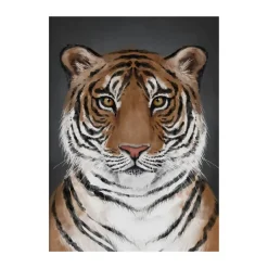 Kunskapstavlan® Tiger poster, 50x70 cm Multi Clearance
