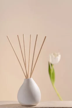 Volant scented sticks 150 ml, Fresh Zest White Best